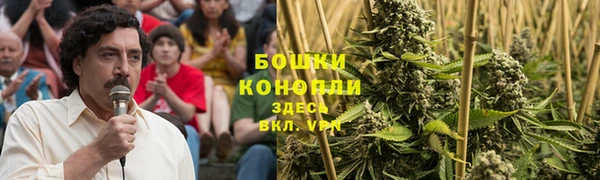 бошки Сясьстрой