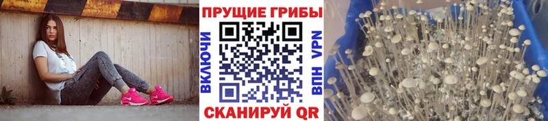 Галлюциногенные грибы GOLDEN TEACHER  купить закладку  Краснотурьинск 